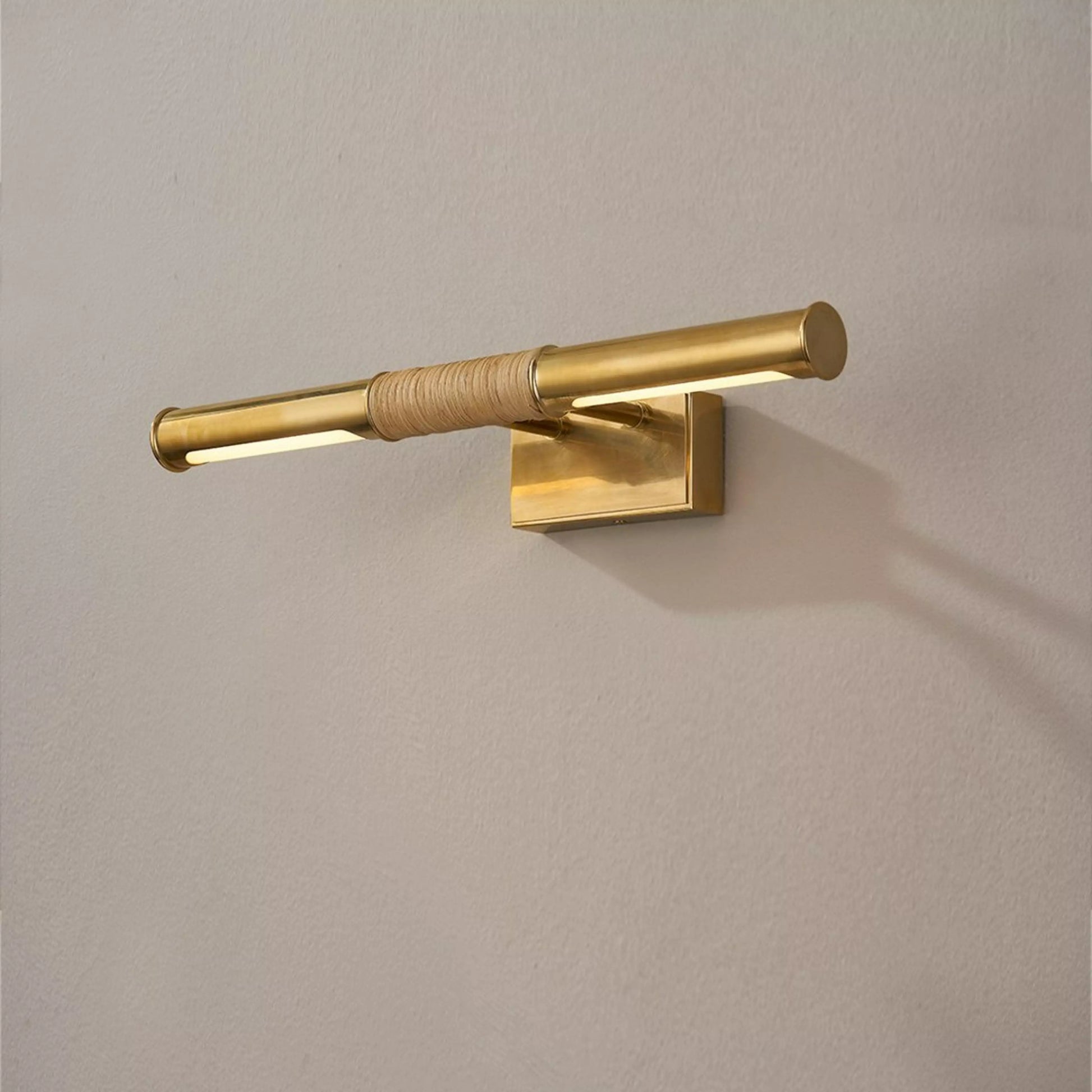 Liora Modern Brass LED Picture Light